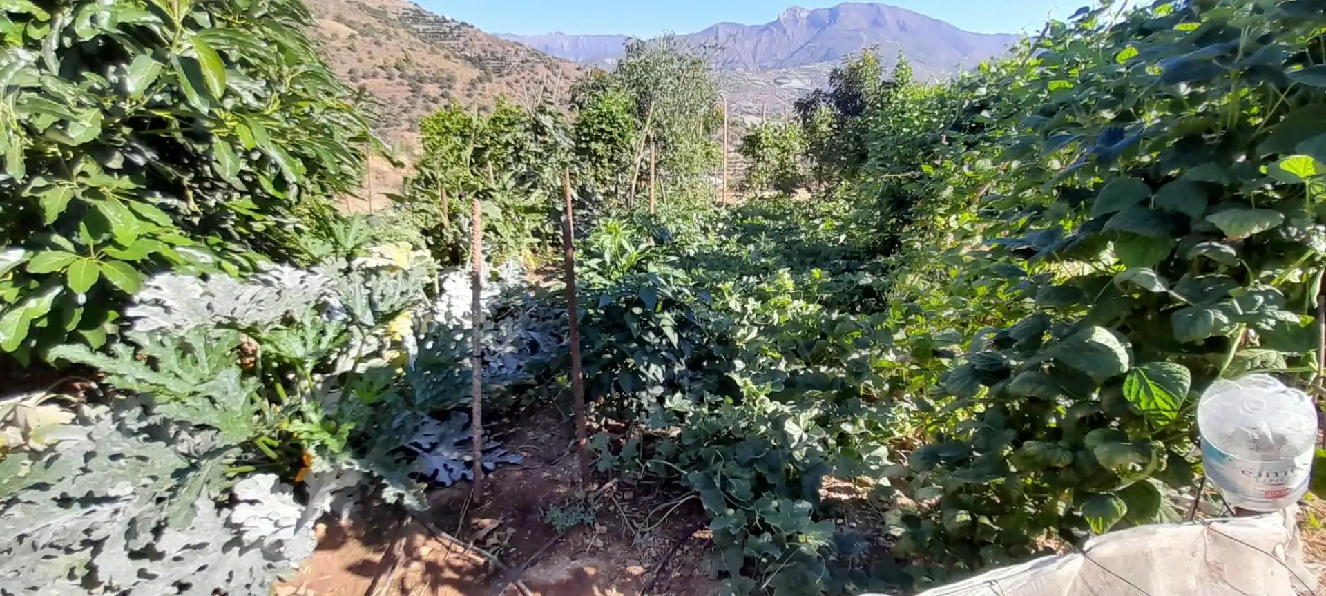 Terreno rustico in vendita a Ítrabo, imagen 3