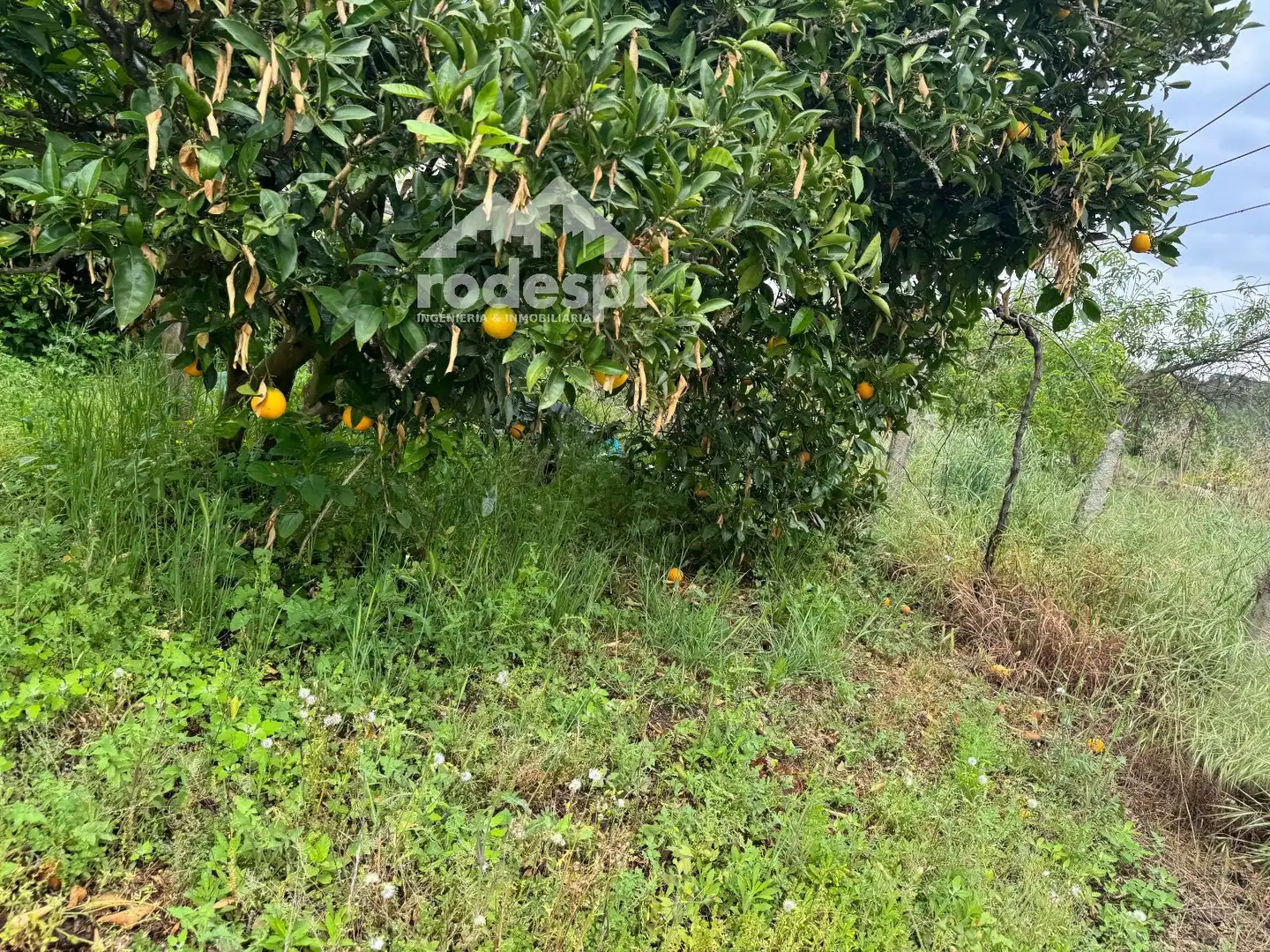 Casa o xalet en venda en Crecente amb Traster i Moblat