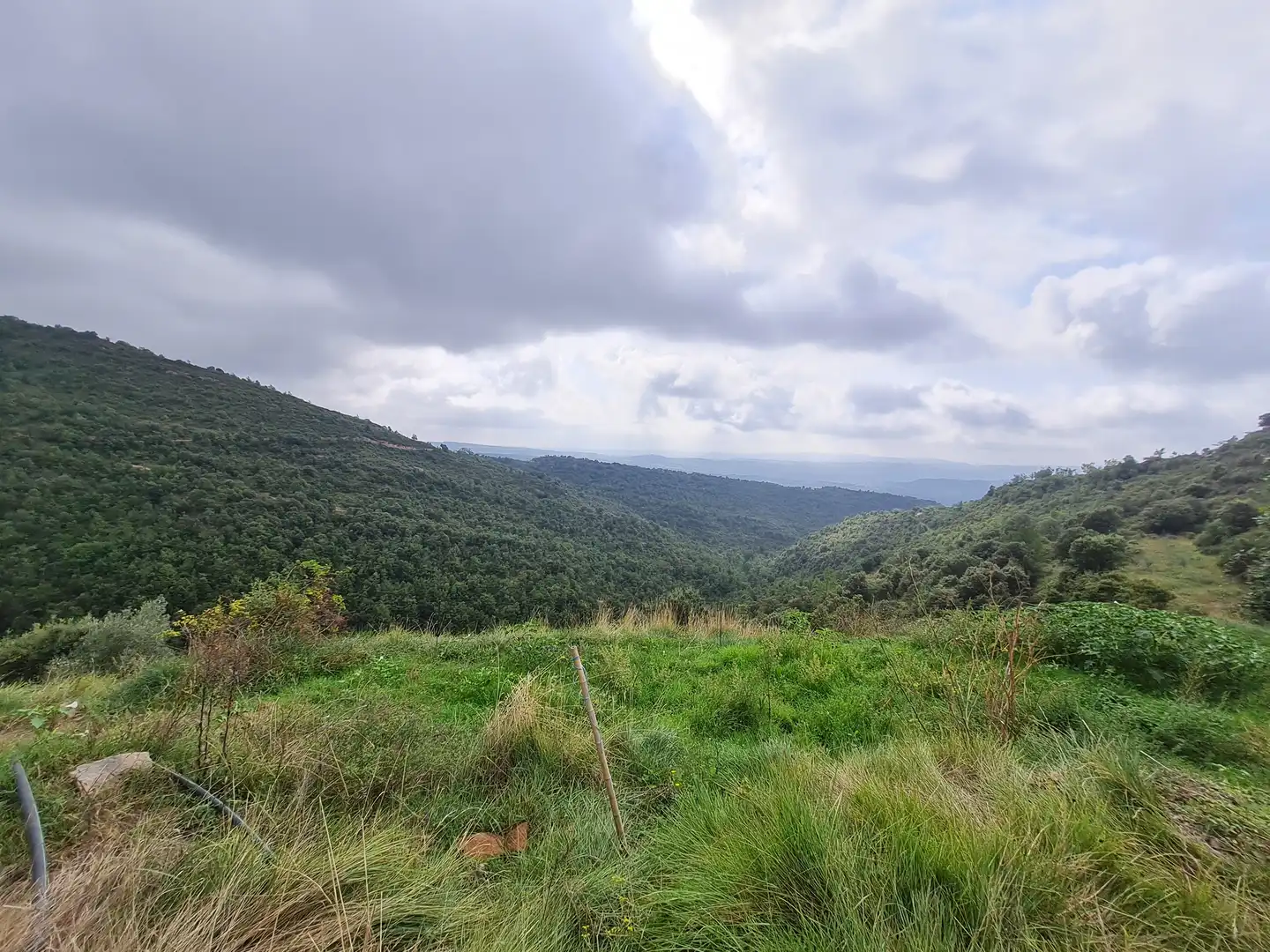 Country homes for sale in Olvan