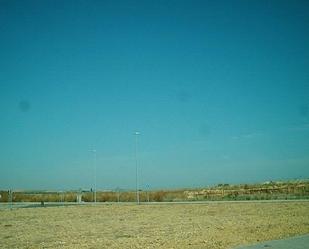 Terreny industrial en venda a N/A, Carrión de los Céspedes