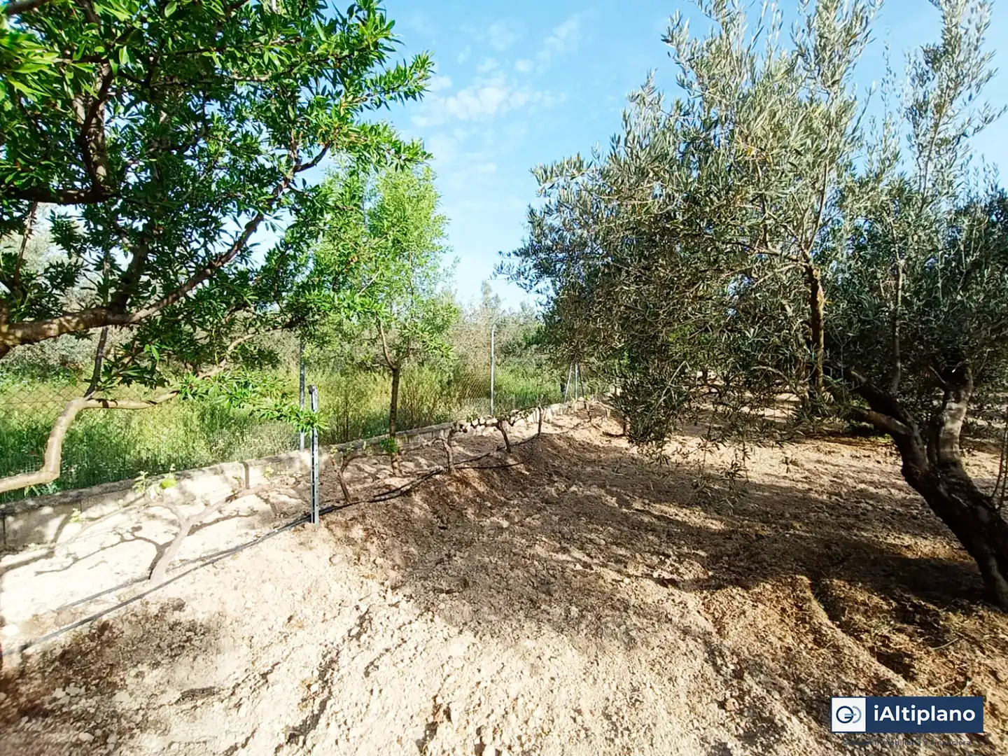 Casa o xalet en venda en Baza amb Jardí privat, Piscina i Moblat