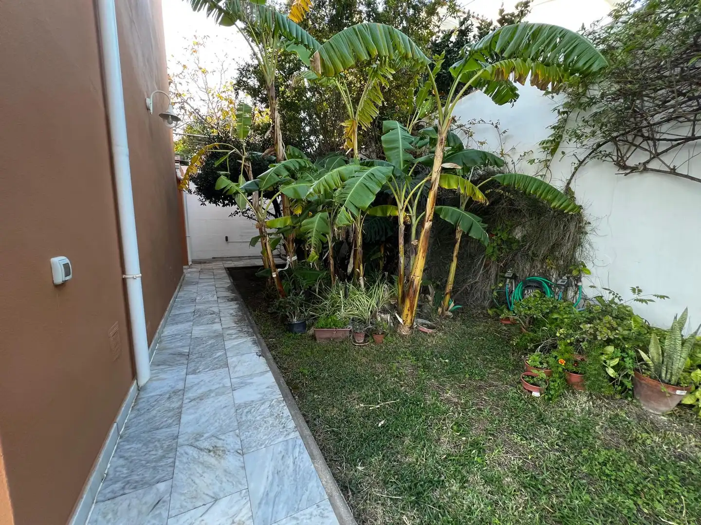 Casa o xalet en venda a Almayate