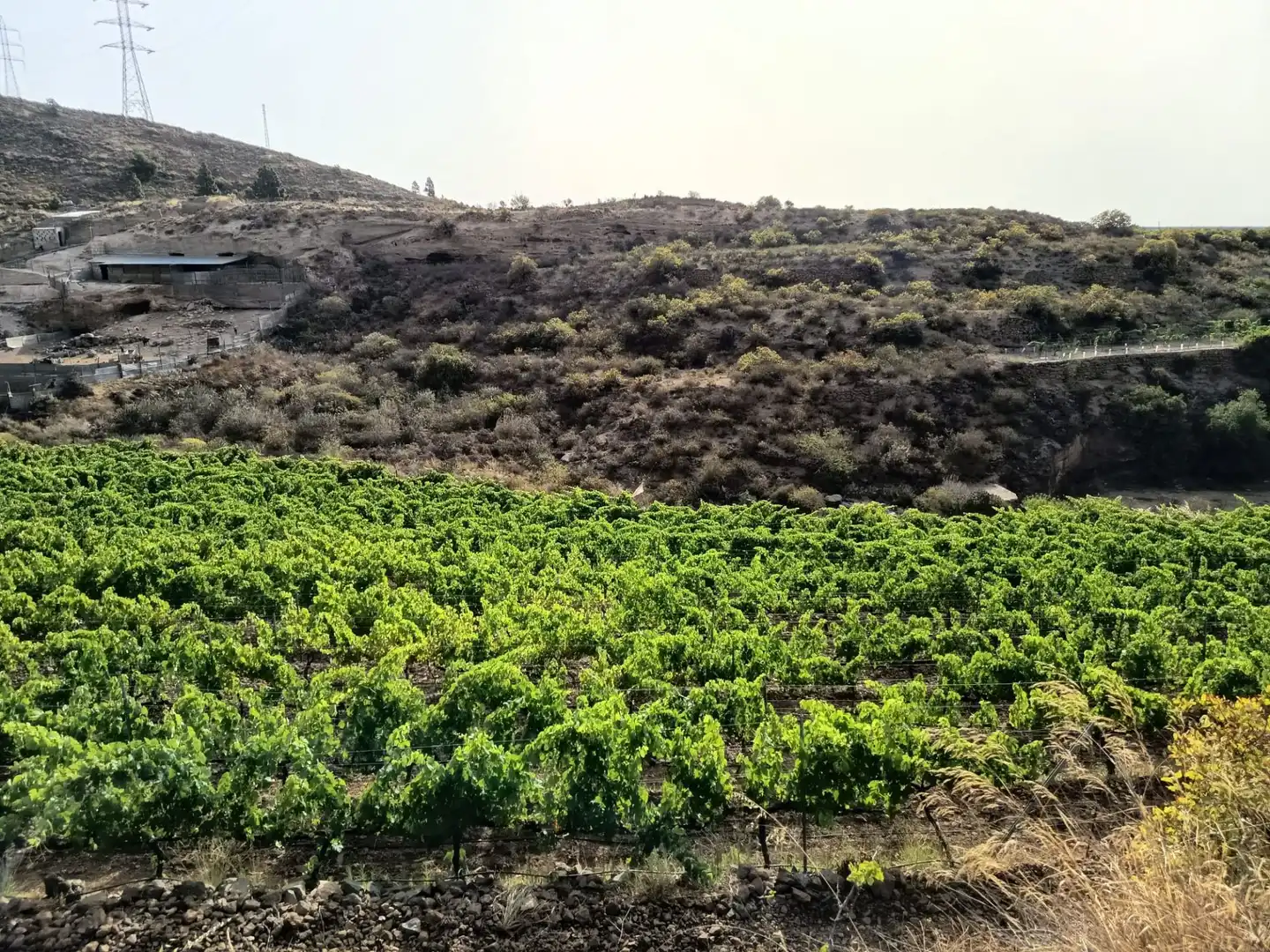 Terreno rustico in vendita a Arico, imagen 3