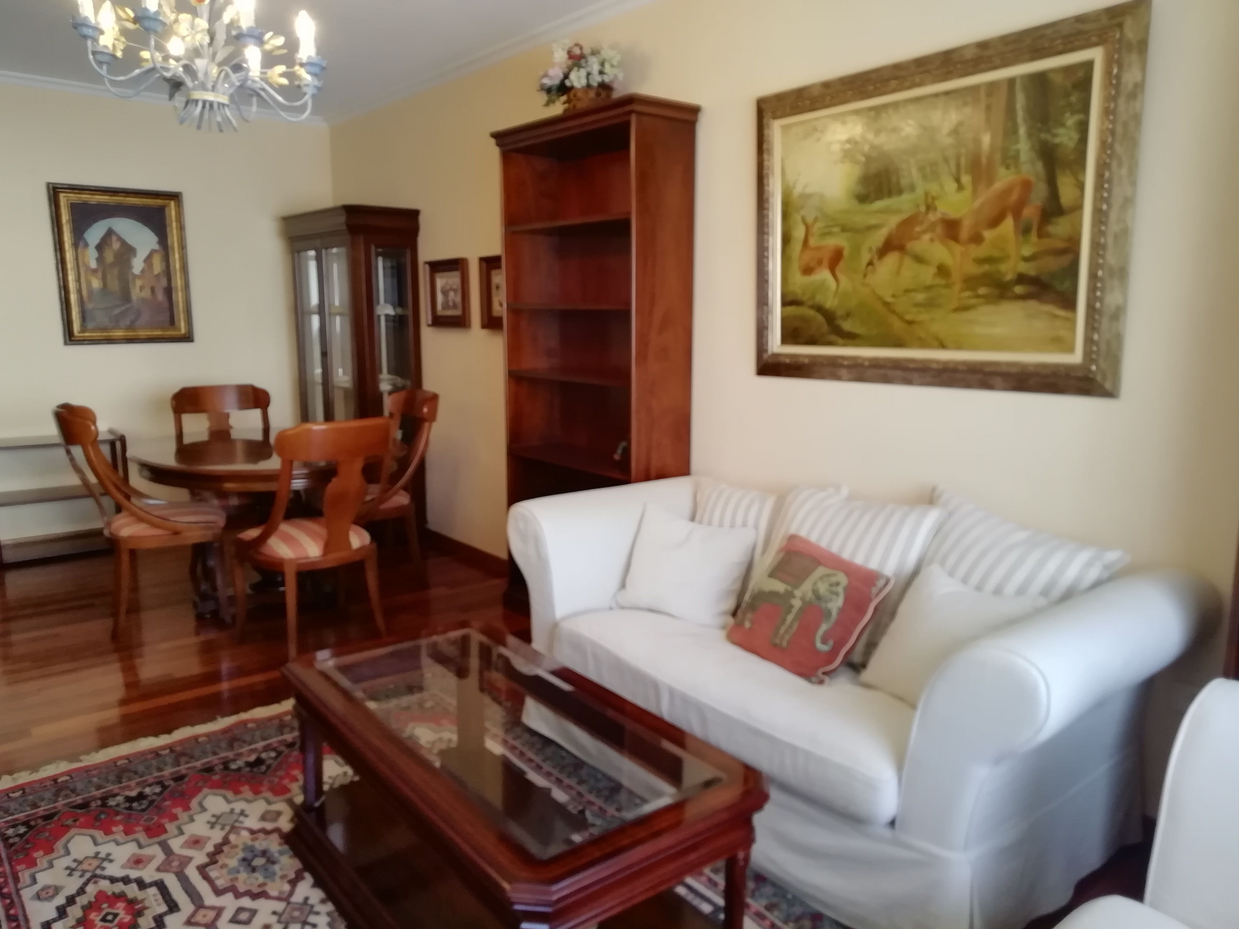 Sala d'estar de Pis de lloguer en Lugo Capital amb Calefacció, Parquet i Moblat