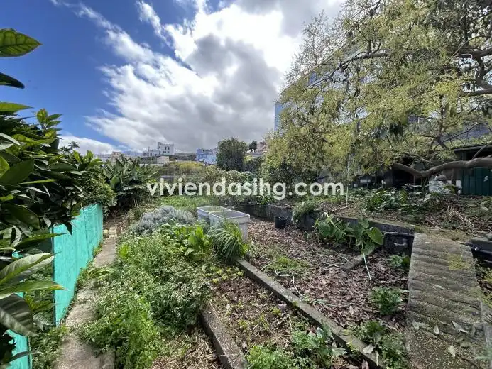 Jardín de Casa o chalet en venta en Los Realejos con Jardín privado, Terraza y Amueblado