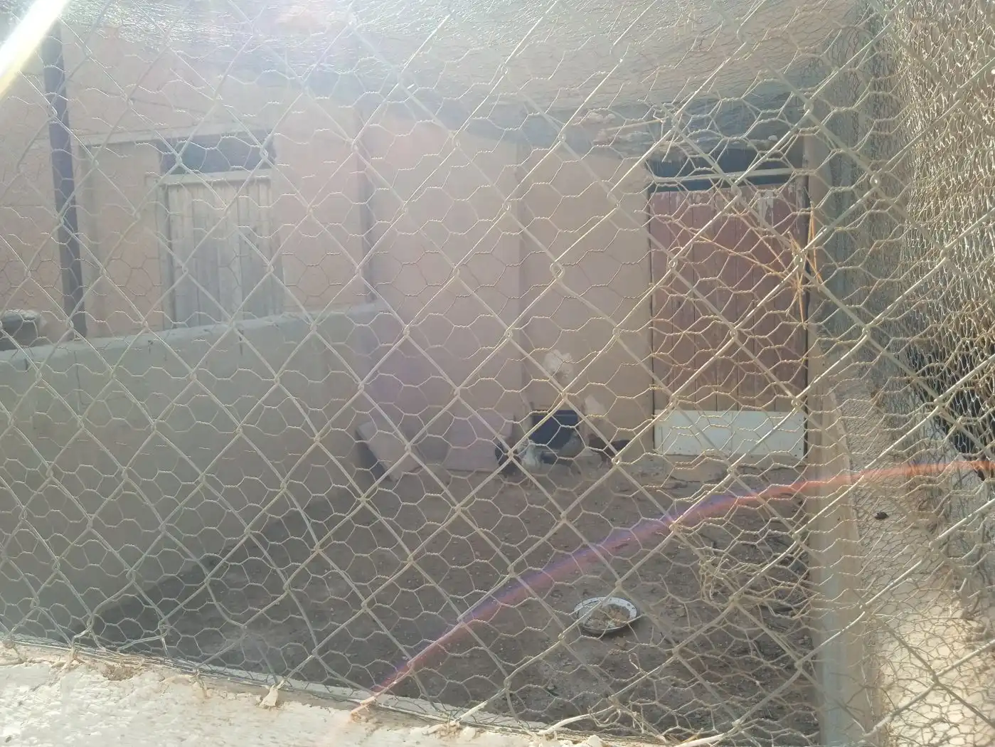 Casa rústica en venda a Freila, imagen 12