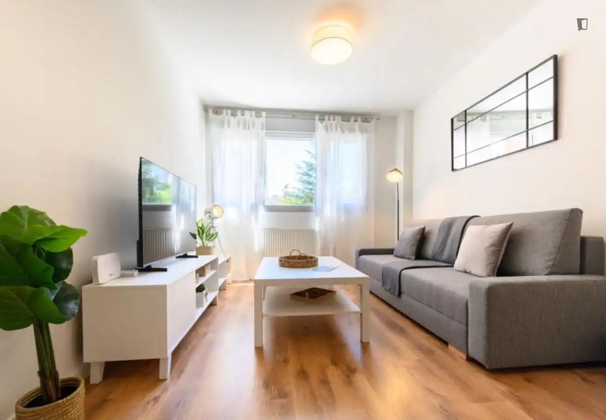 Living room of Apartments for rent in Madrid  with Air Conditioner, Heating and Furnished