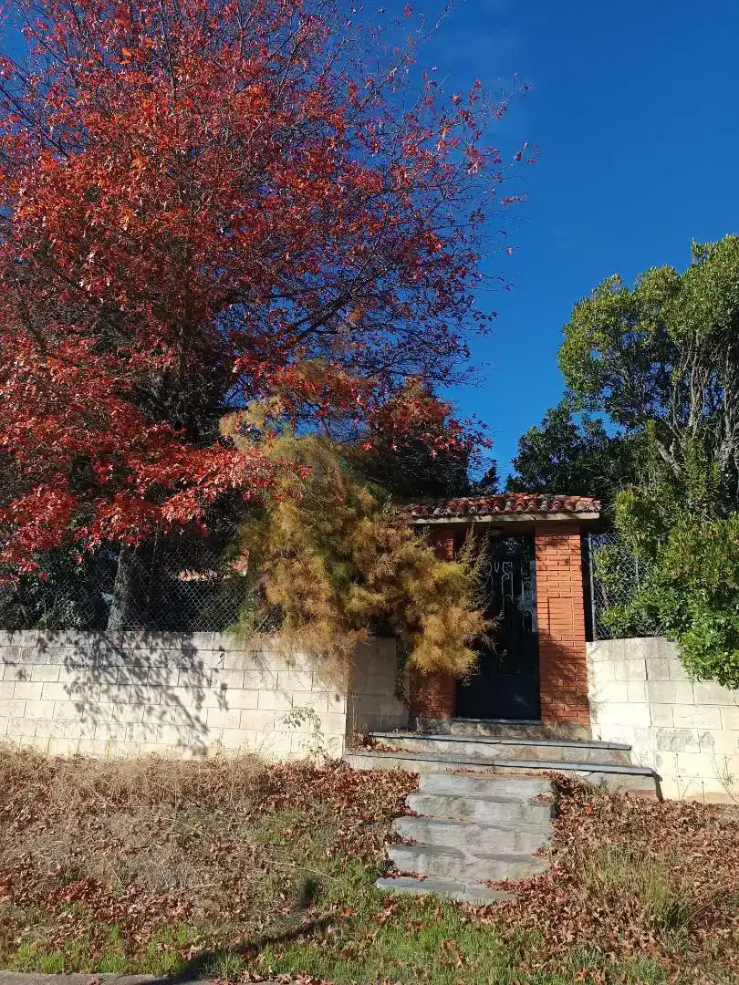 Vista exterior de Casa o chalet en venta en Brazuelo con Jardín privado, Trastero y Amueblado