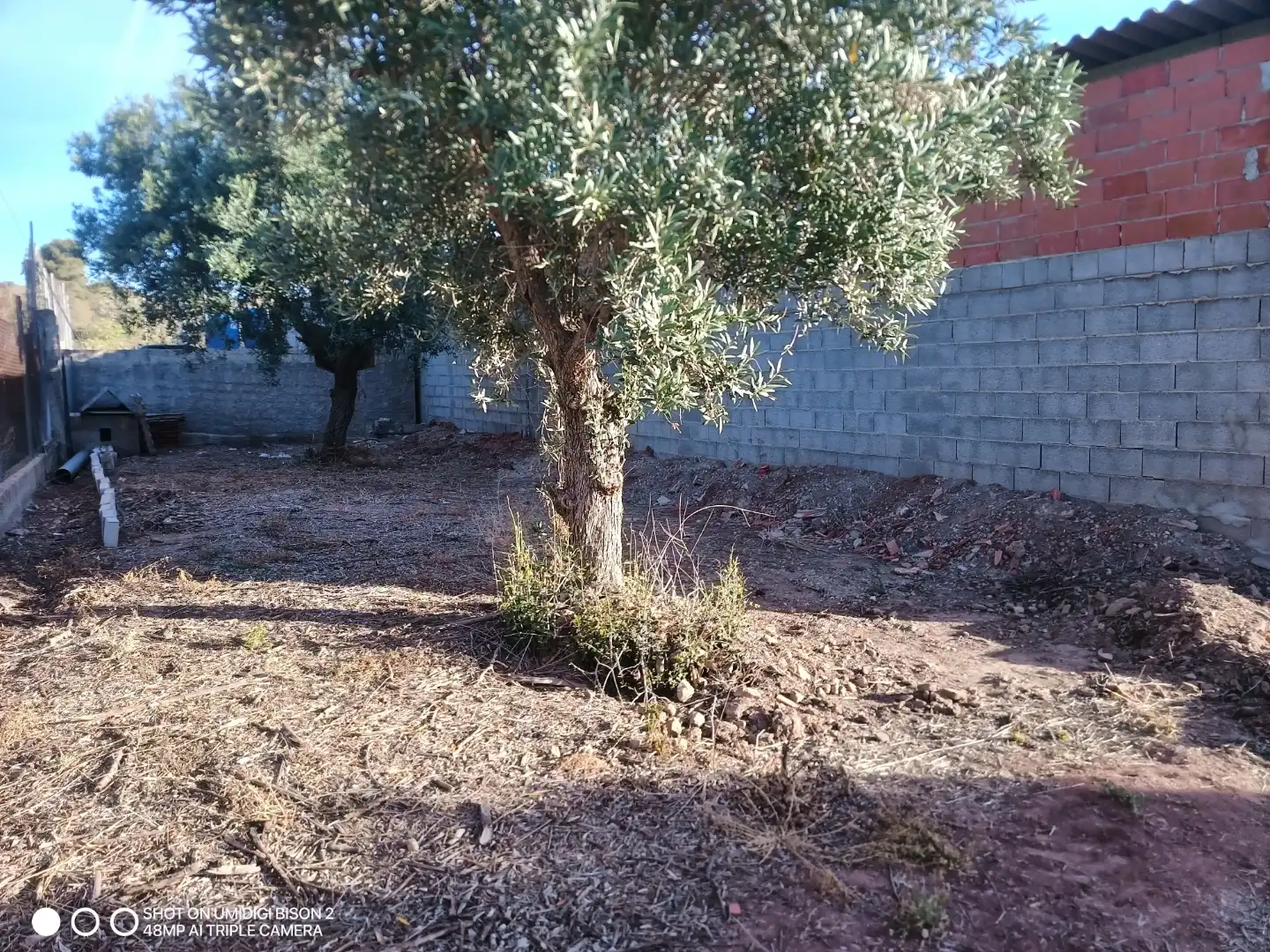 Trastero de alquiler en Vilamarxant