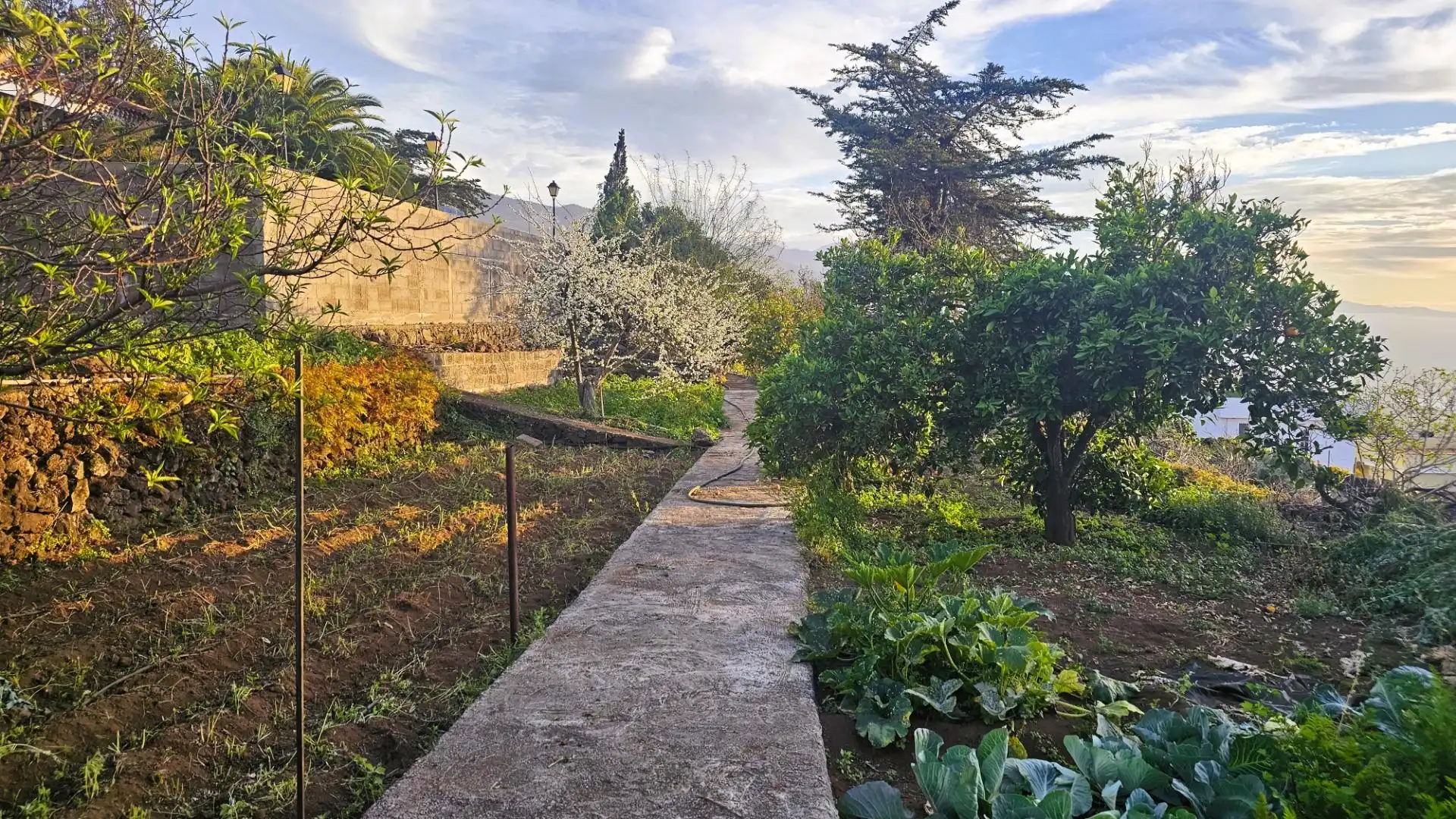 Garden of Houses for sale in La Matanza de Acentejo  with Heating, Private garden and Terrace
