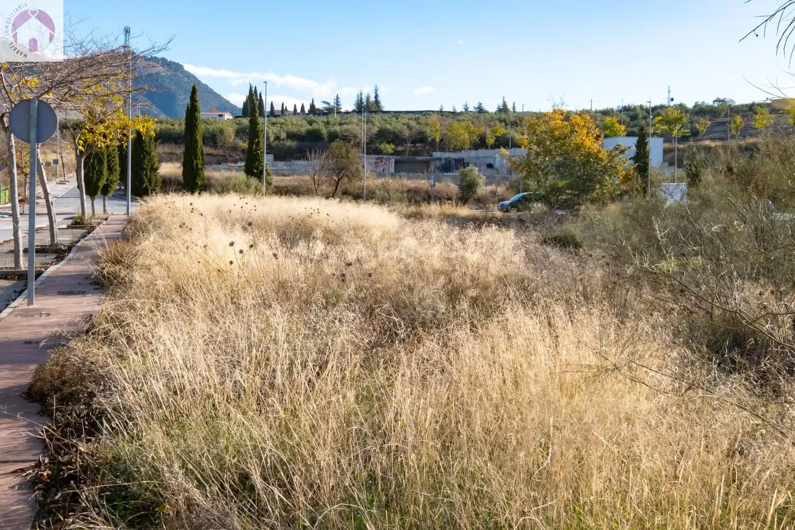 Industrial land for sale in Alfacar, imagen 3