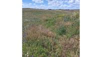 Land for sale in Casarrubios del Monte
