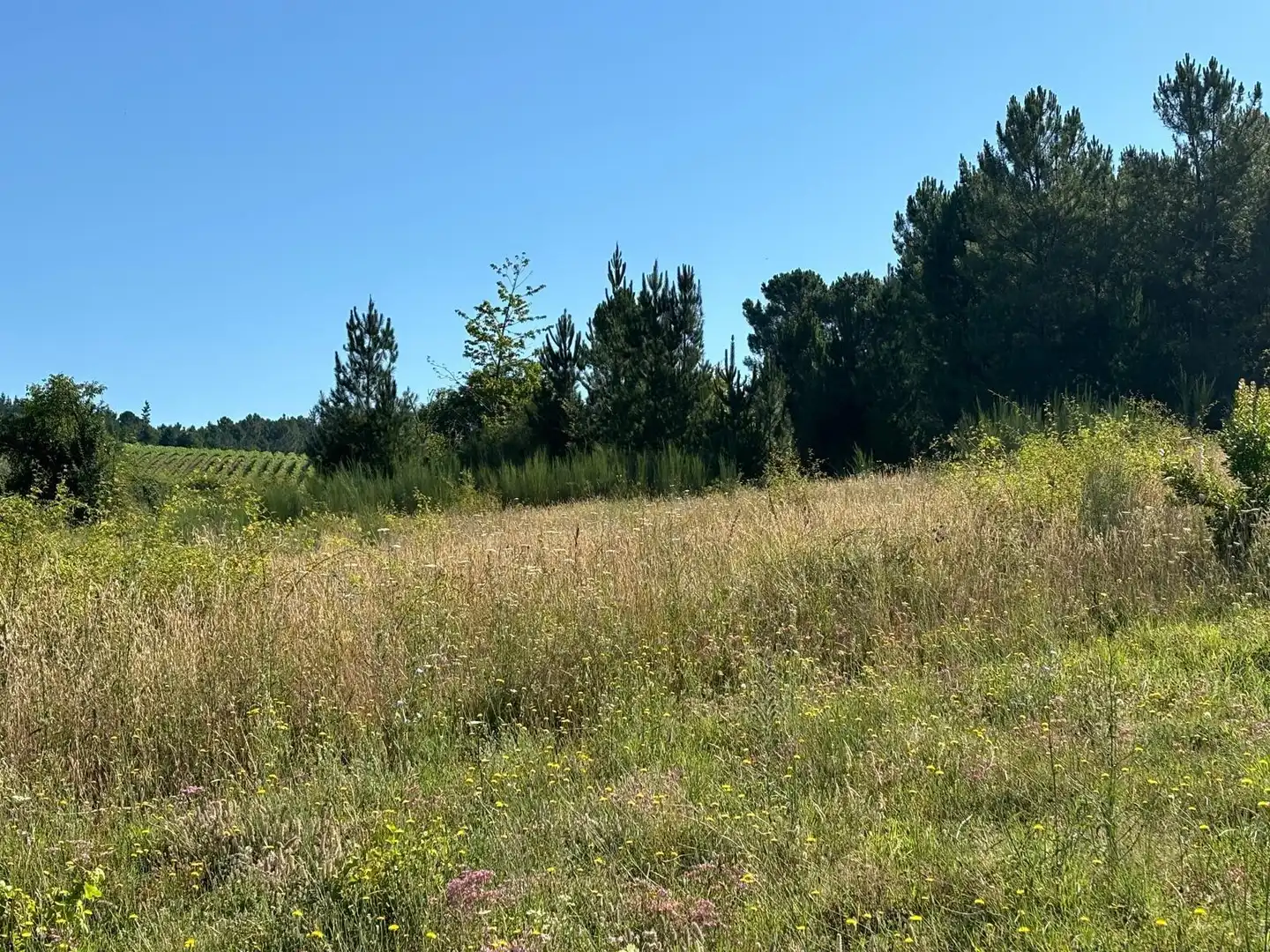 Residencial en venta en Arganza