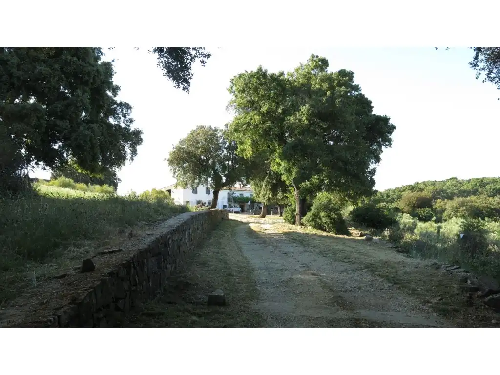 Vista exterior de Casa o chalet en venta en Montejaque