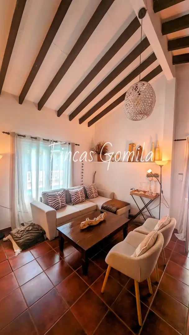Sala de estar de Casa o chalet en venta en Es Mercadal con Jardín privado y Terraza