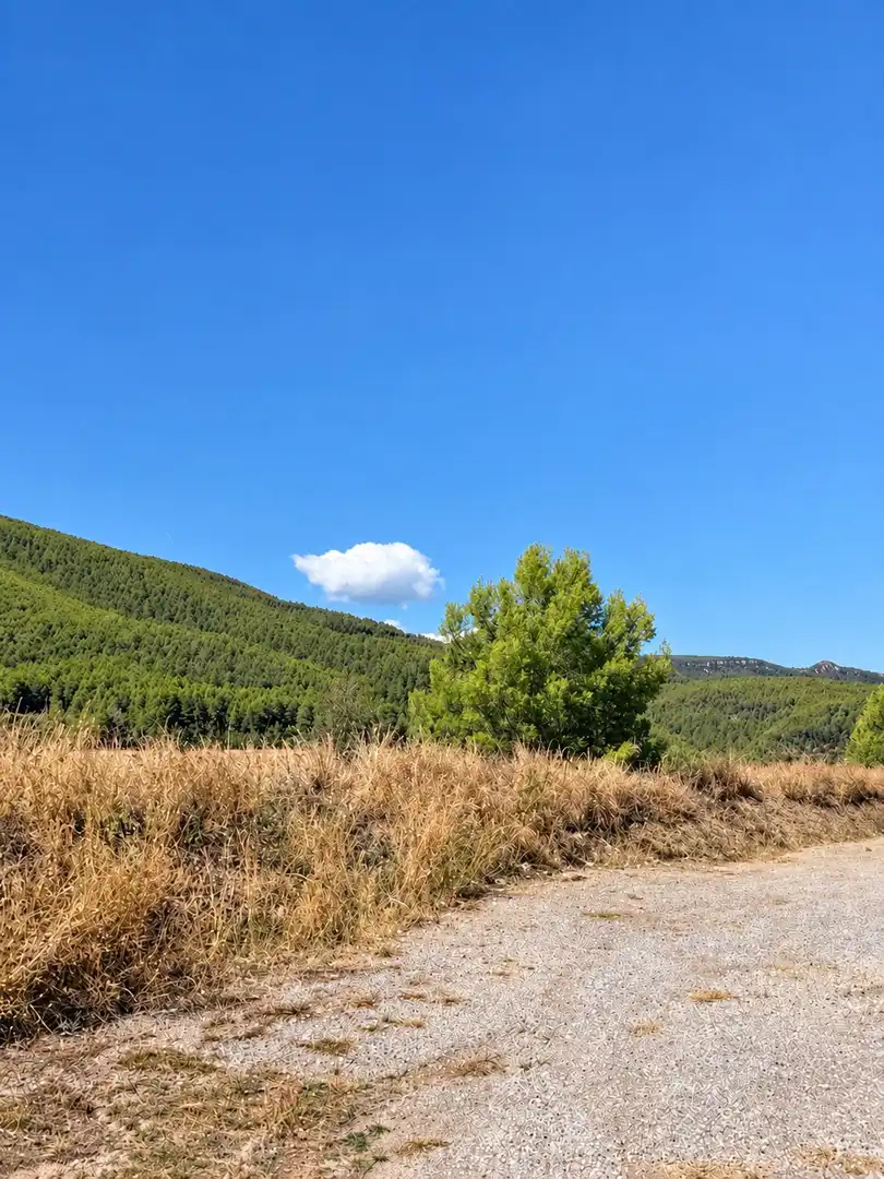 Casa en venda a MENTA   ( PLANA TORRES), imagen 78