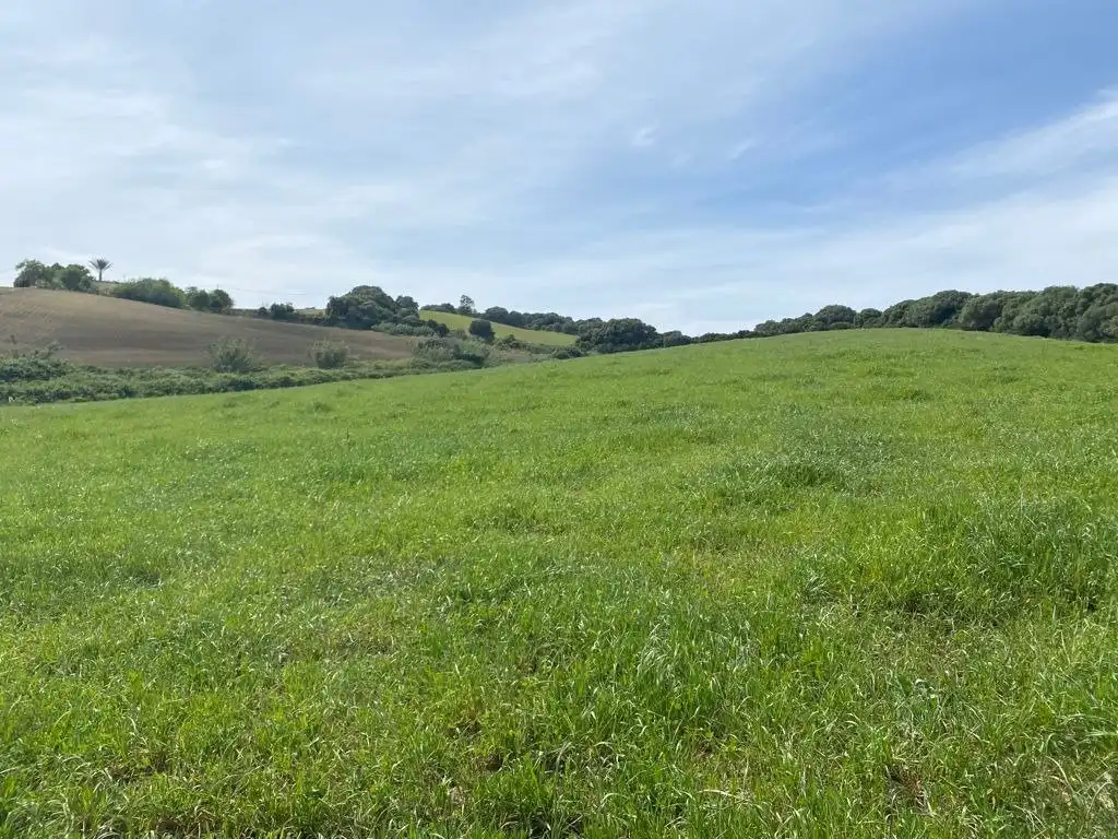 Terrain rustique à vendre à Vejer, imagen 2