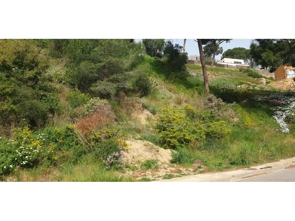 Terreny residencial en venda a Sa Riera - Sa Fontansa, imagen 5