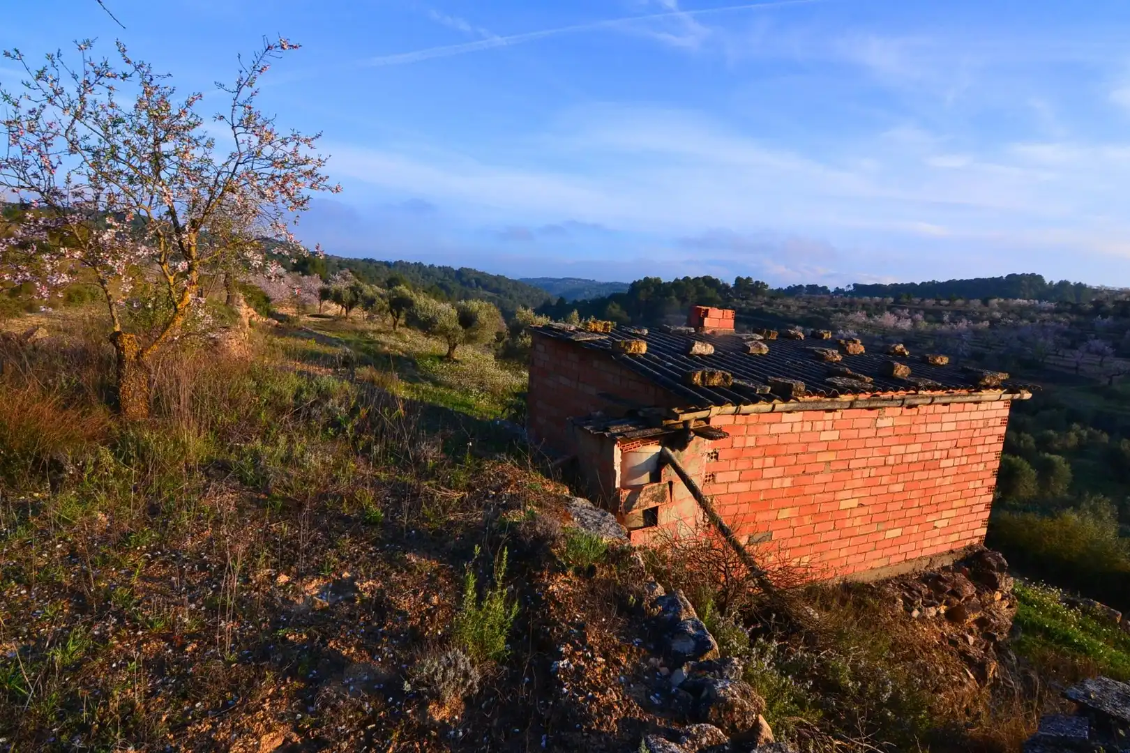 Rural land for sale in Corbera d'Ebre, imagen 62