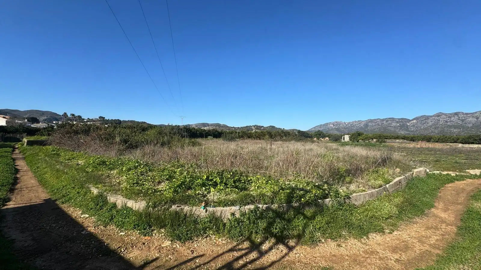 Finca rústica en venta en Simat de la Valldigna
