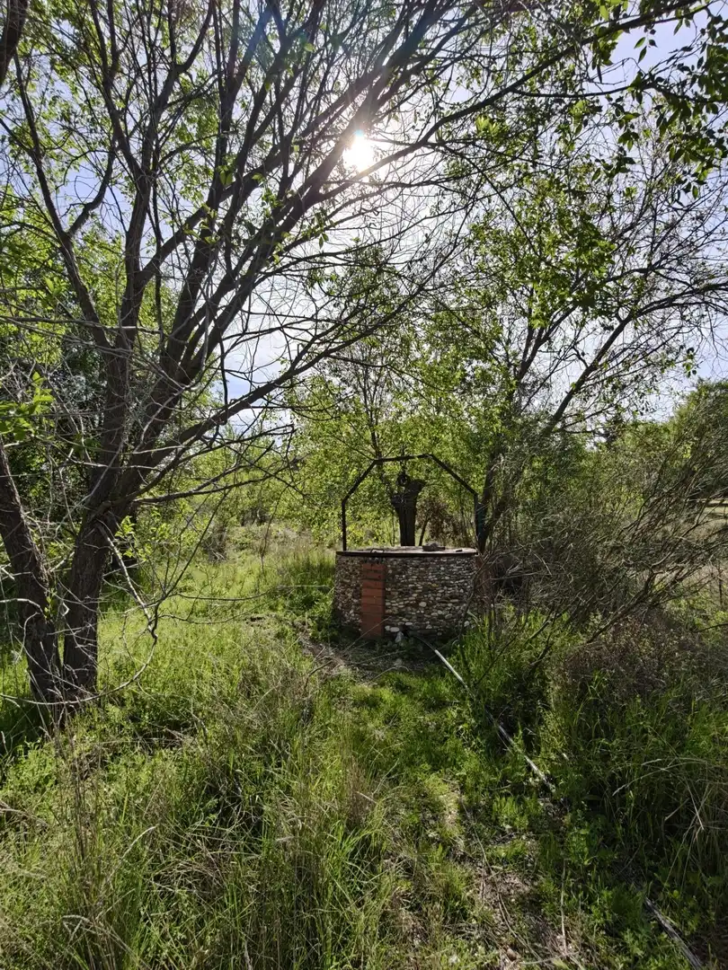 Chalet en venta en CERRO PALOS poligono 45 parcela 63, imagen 47
