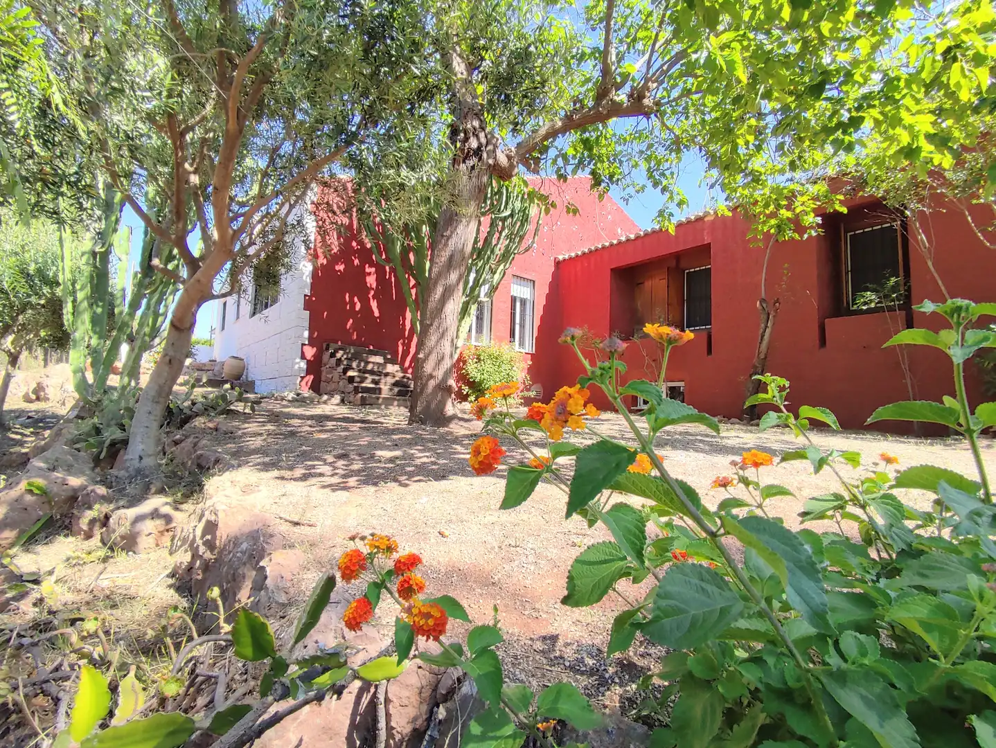 Jardí de Casa o xalet de lloguer en Puçol amb Calefacció, Jardí privat i Terrassa