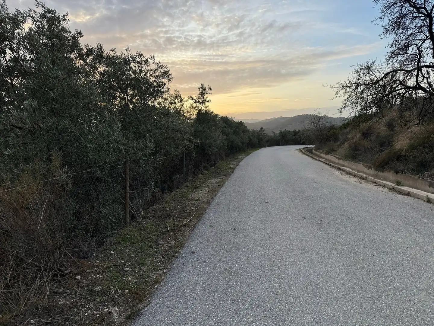 Terreno rustico in vendita a Lecrín, imagen 8