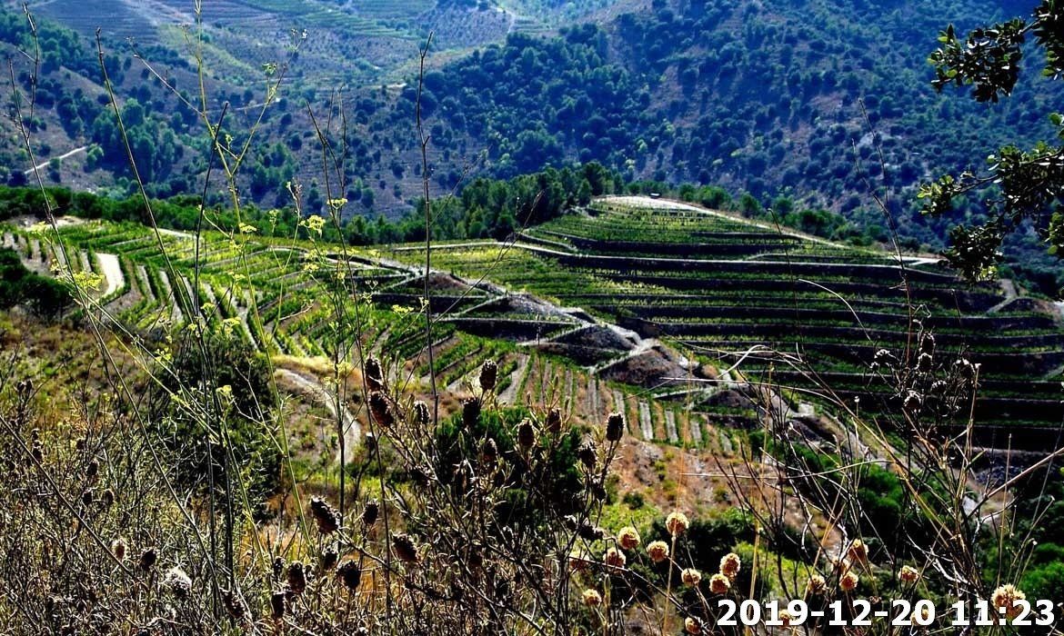Außenansicht von Grundstücke zum verkauf in Falset