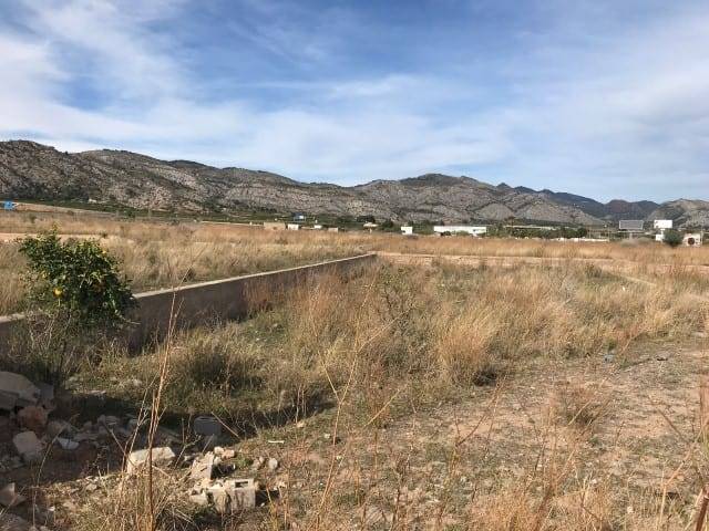 Terreno en Venta en CL JOSE FORCADA PERIS Nº 21 en Pau Lledó