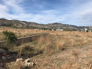 Terreno rustico in vendita a CL JOSE FORCADA PERIS Nº 21