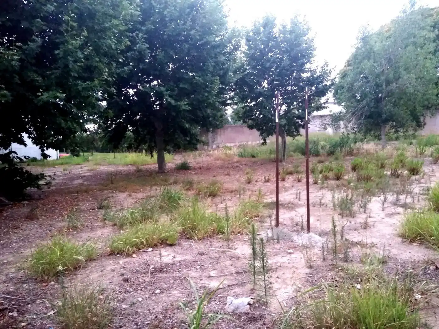 Terrenys i solars en venda a Vilafortuny - Cap de Sant Pere