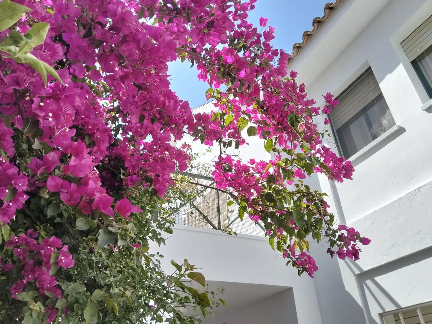 Chalet con jardín en venta en simon de rojas clemente 4, imagen 6