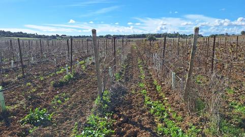 Foto 5 de Residencial en venta en Santa Margalida Poble, Illes Balears