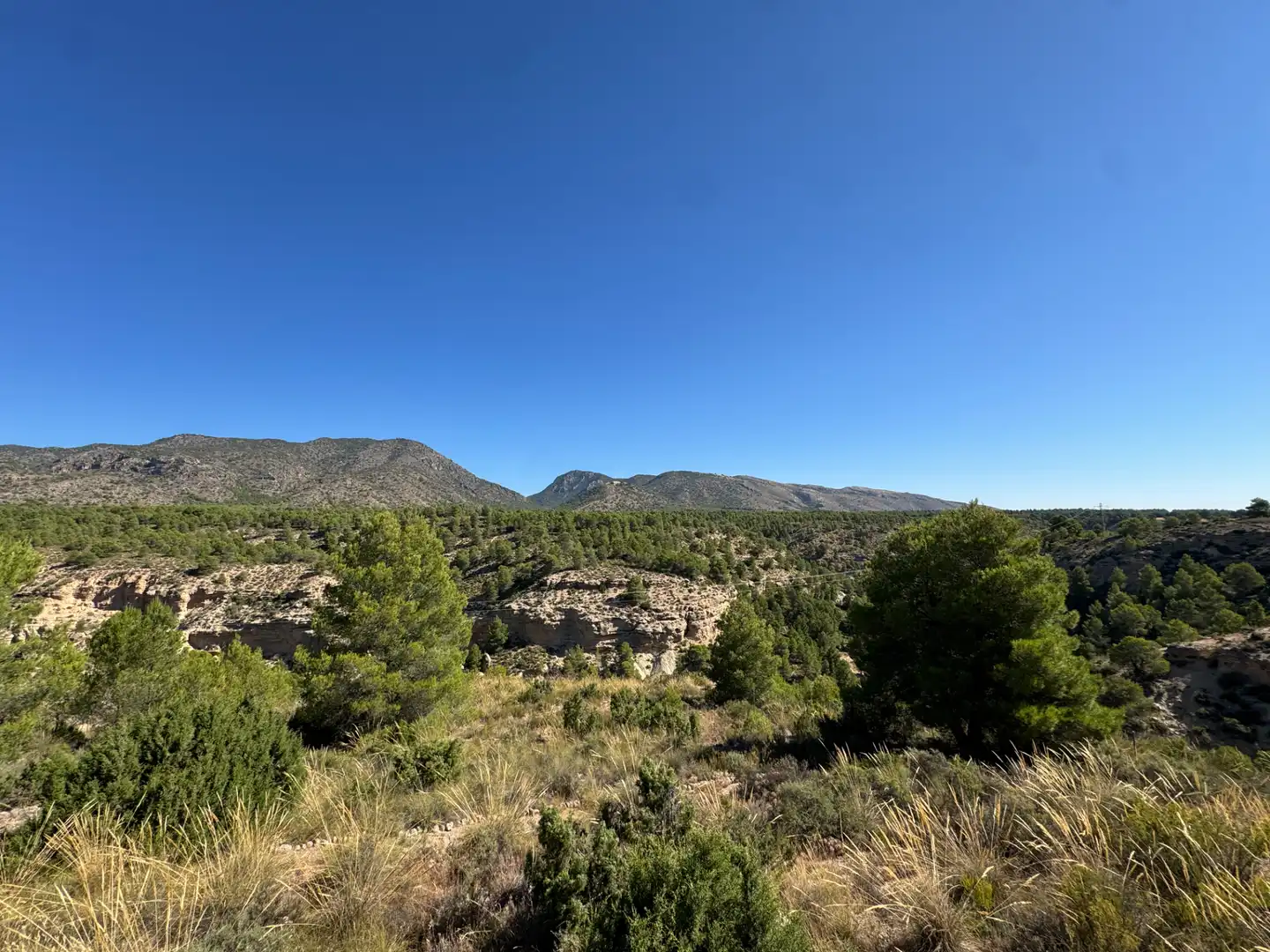 Exterior view of Houses for sale in Caravaca de la Cruz  with Air Conditioner, Private garden and Terrace