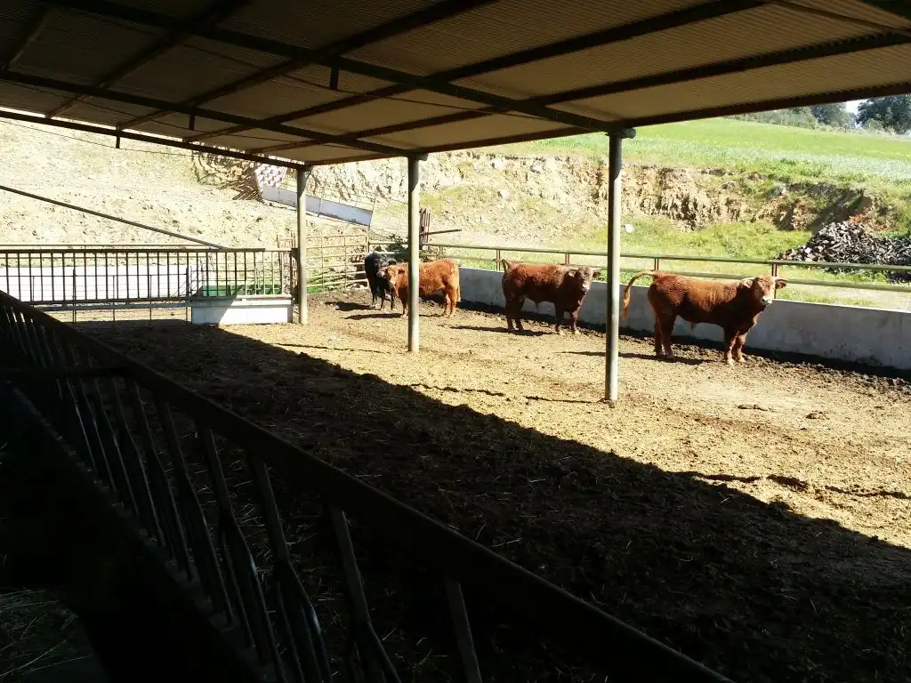 Landhaus mit Garten zum Verkauf in Peñarroya-Pueblonuevo, imagen 2