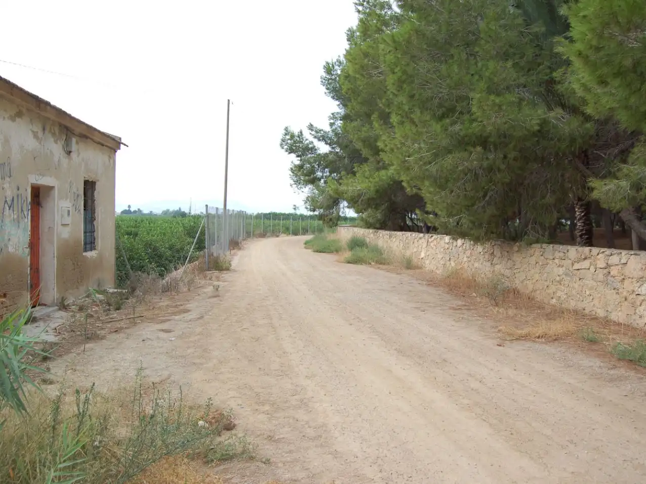 Casa rústica amb jardí en venda a vereda del cementario 264, imagen 11
