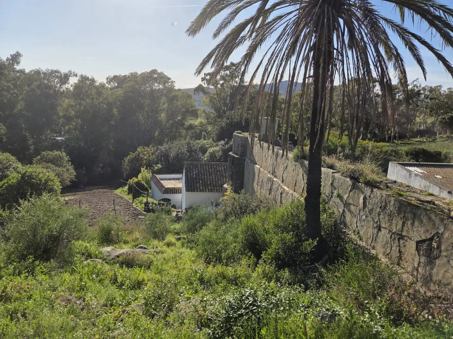 Garden of Country homes for sale in Tarifa ciudad