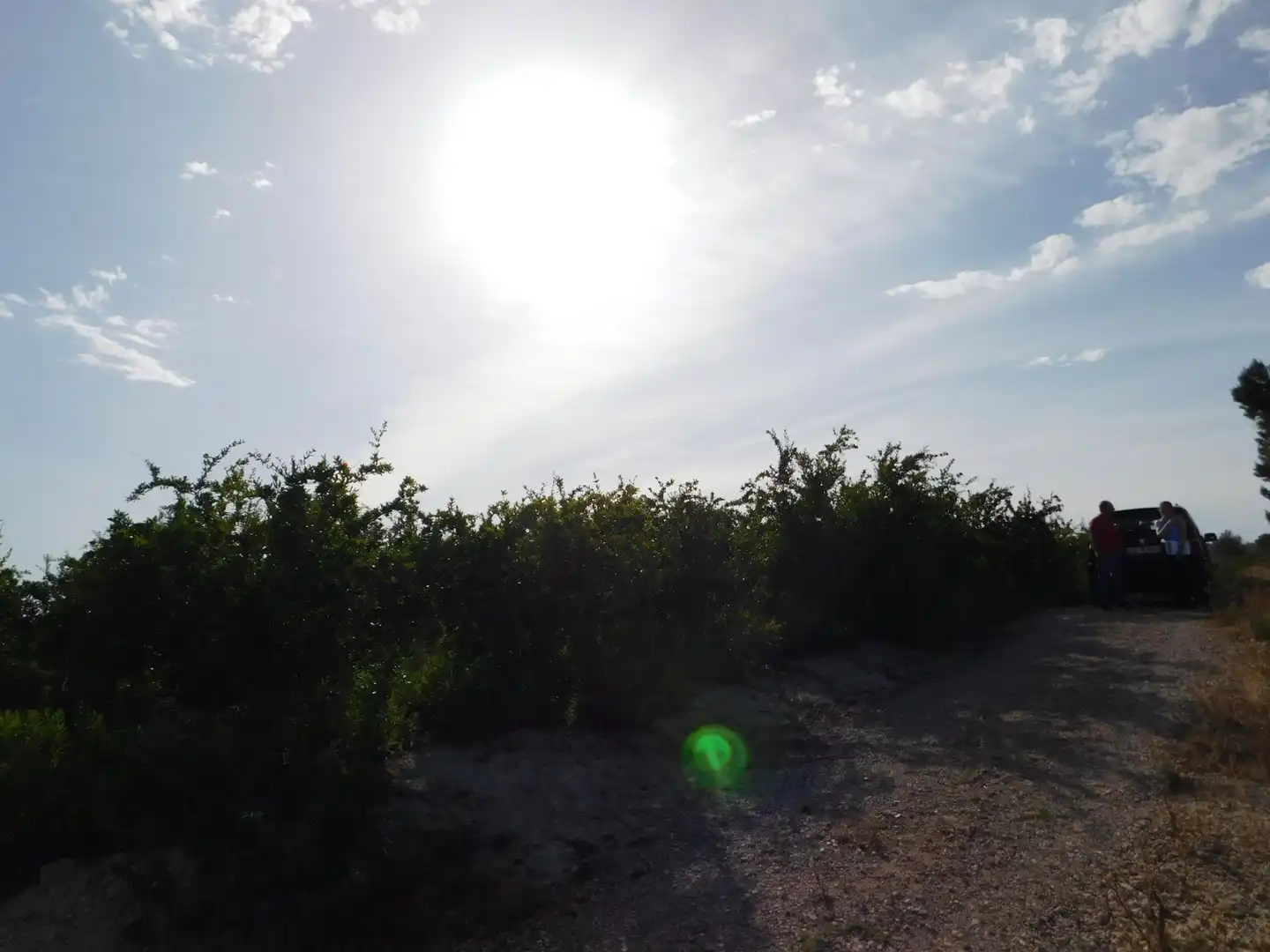 Terreno residencial en venta en San Miguel de Salinas, imagen 11