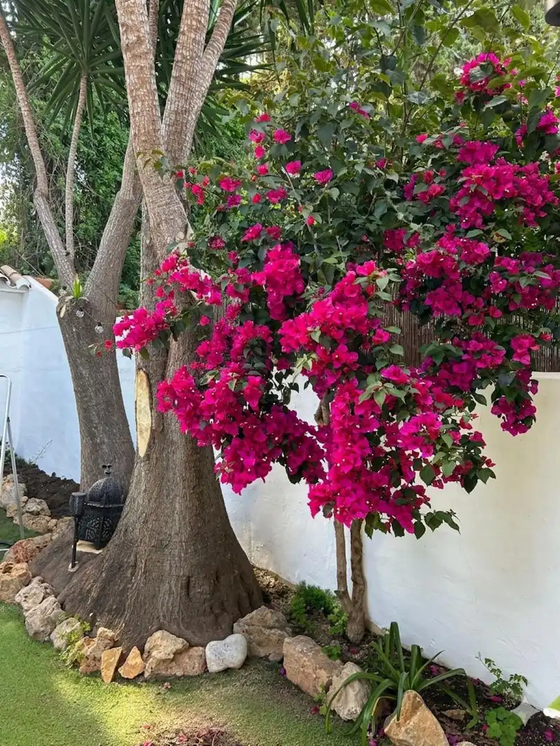 Jardí de Casa adosada en venda en Marbella amb Aire condicionat, Jardí privat i Terrassa