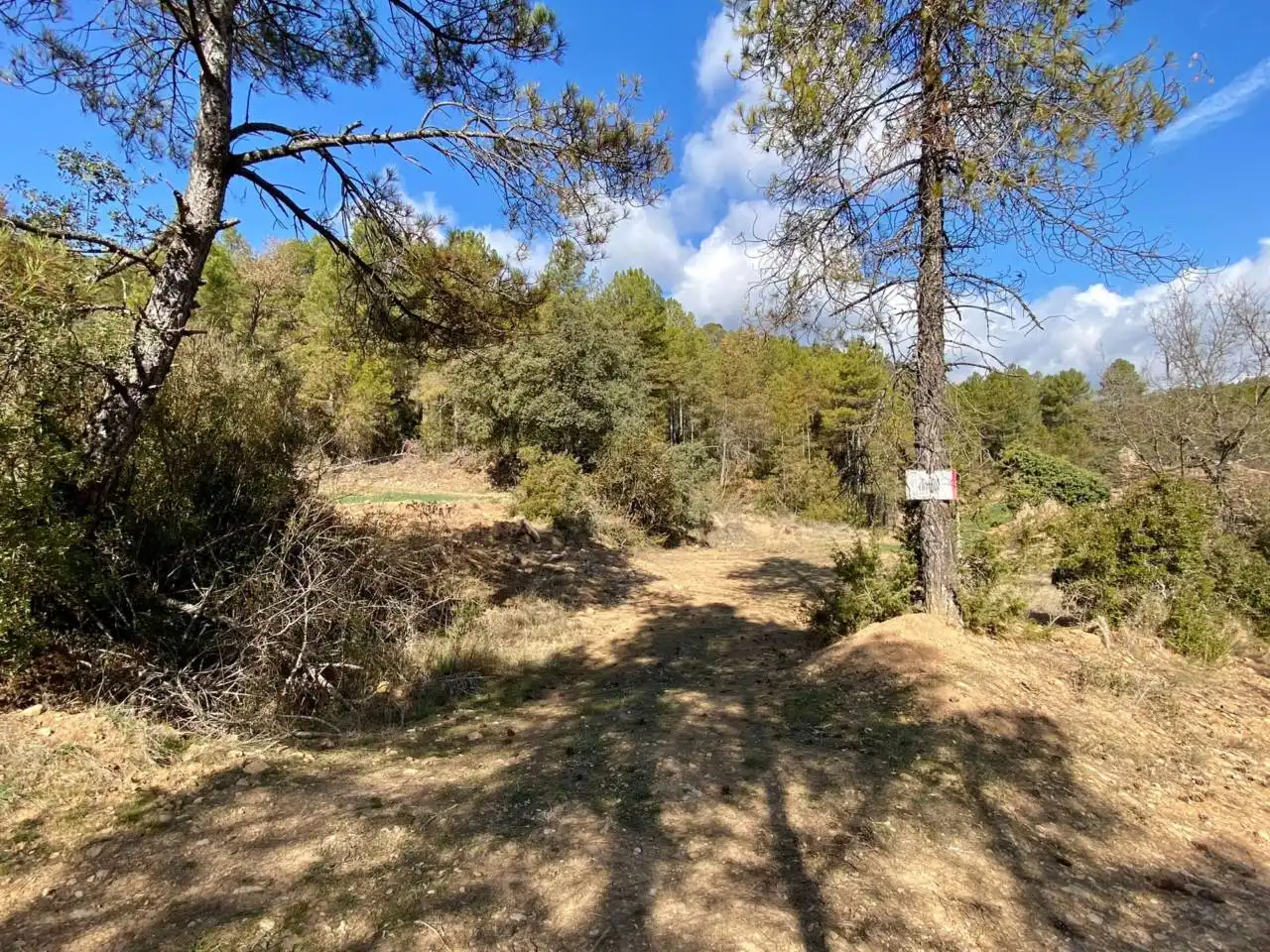 Finca rústica en venta en La Baronia de Rialb con Jardín privado