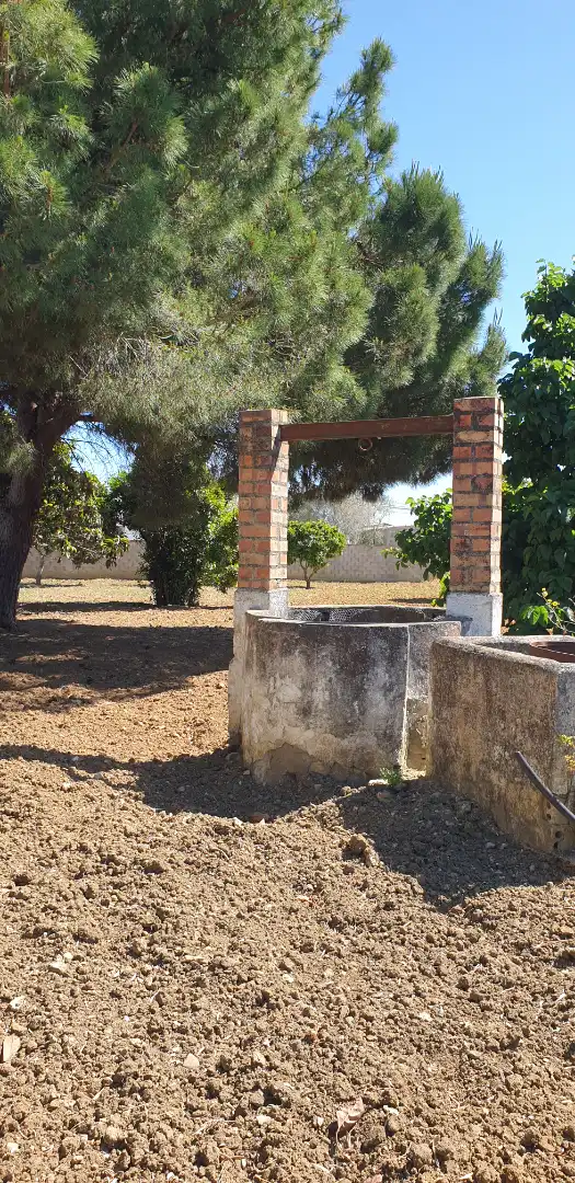 Terrenys i solars en venda a Pelagatos - Pago del Humo, imagen 9