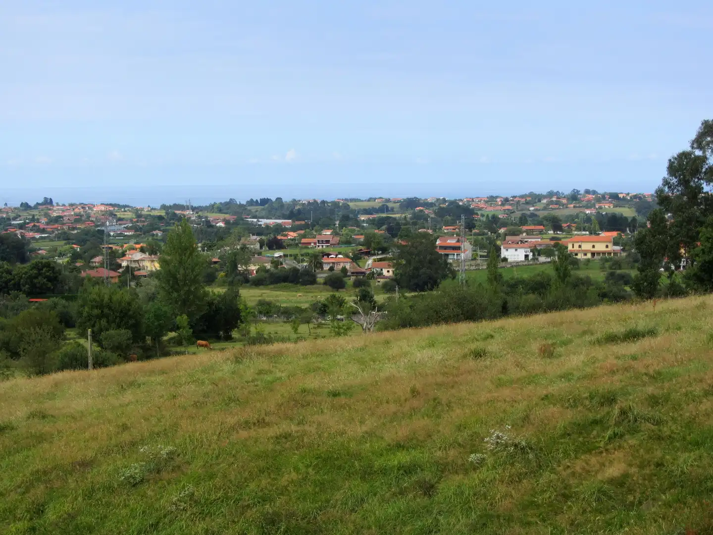 Terreny residencial en venda a Camin de los Payares, imagen 37