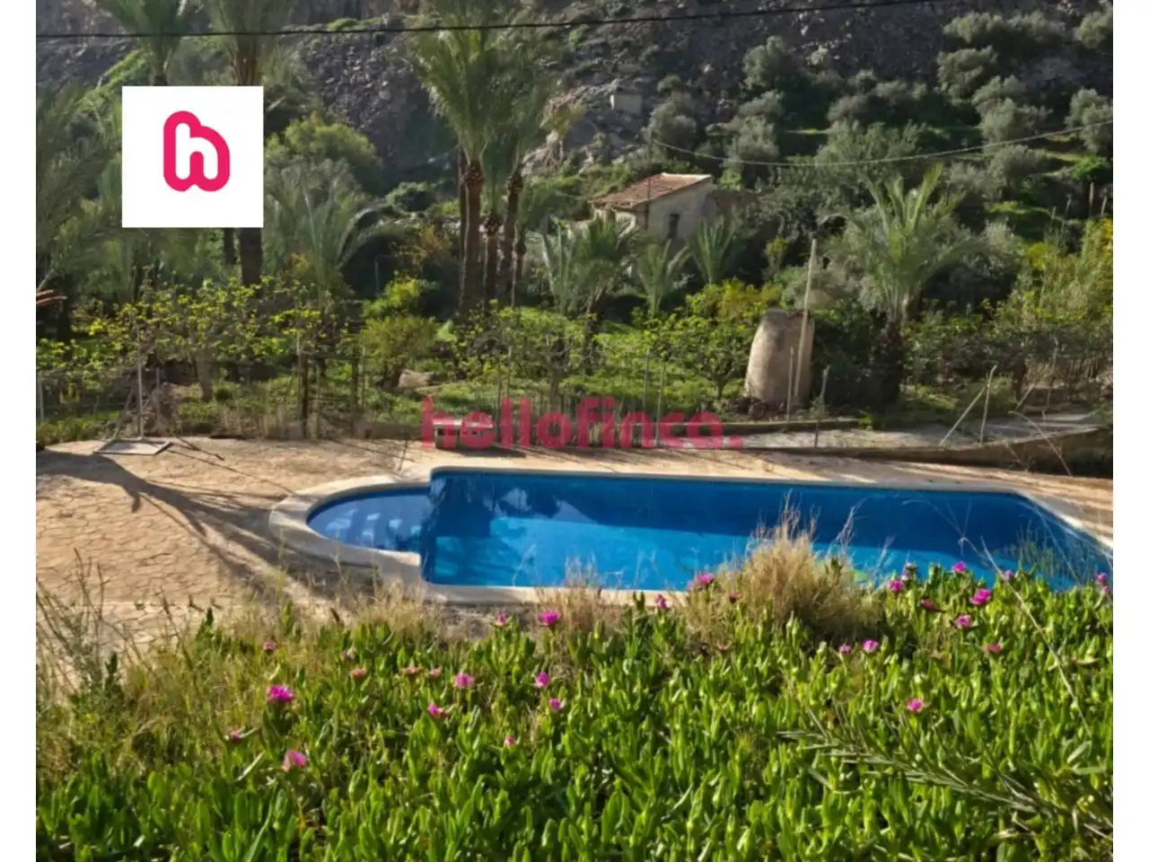 Jardí de Finca rústica en venda en Orihuela amb Aire condicionat, Calefacció i Jardí privat