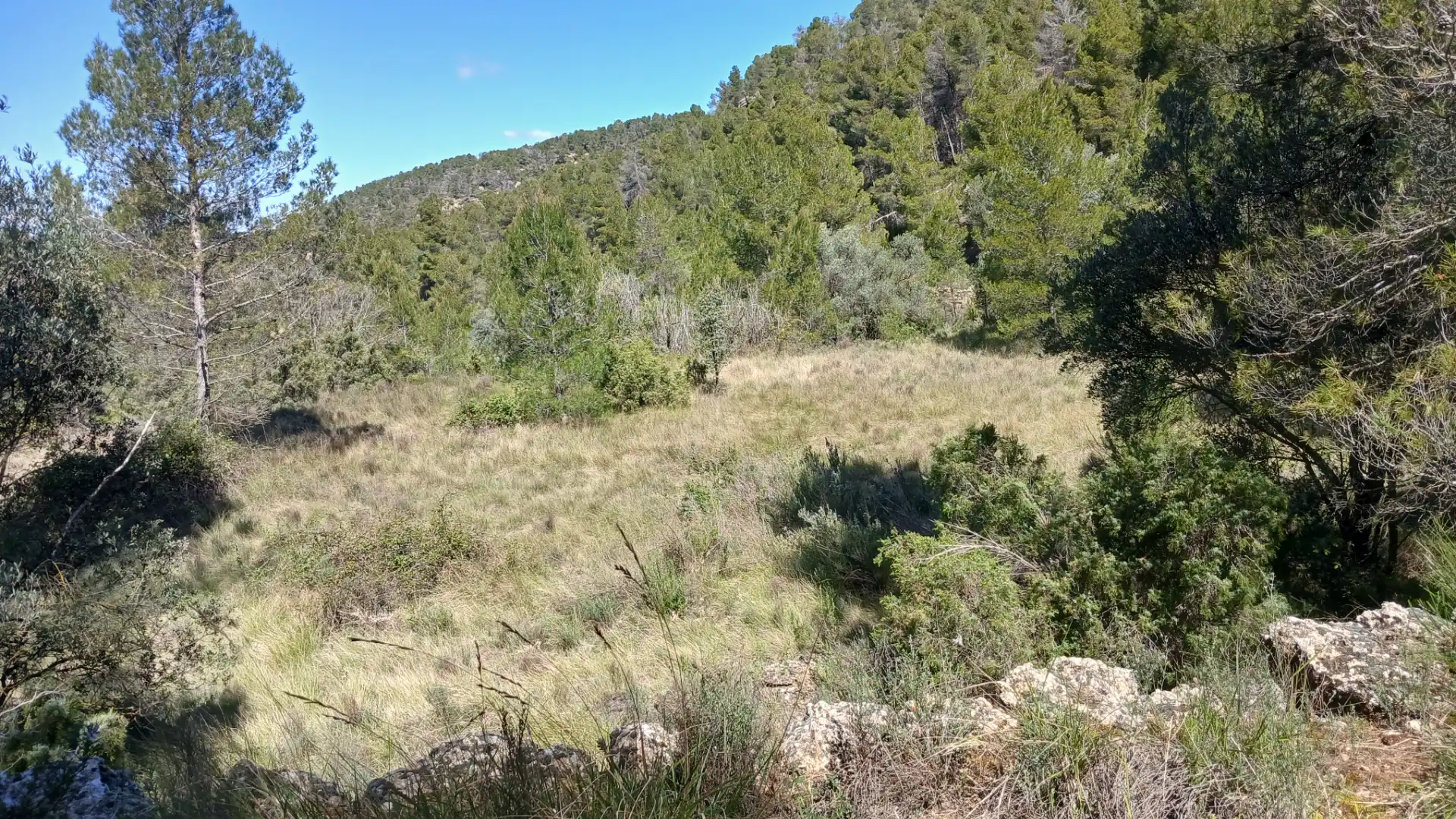 Grundstücke zum Verkauf in Fórnoles