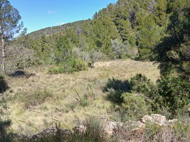 Terreno rustico in vendita a Fórnoles