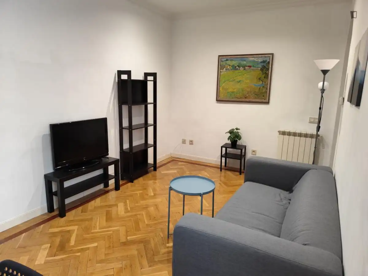 Sala de estar de Apartamento de alquiler en Madrid con Aire acondicionado, Amueblado y Horno