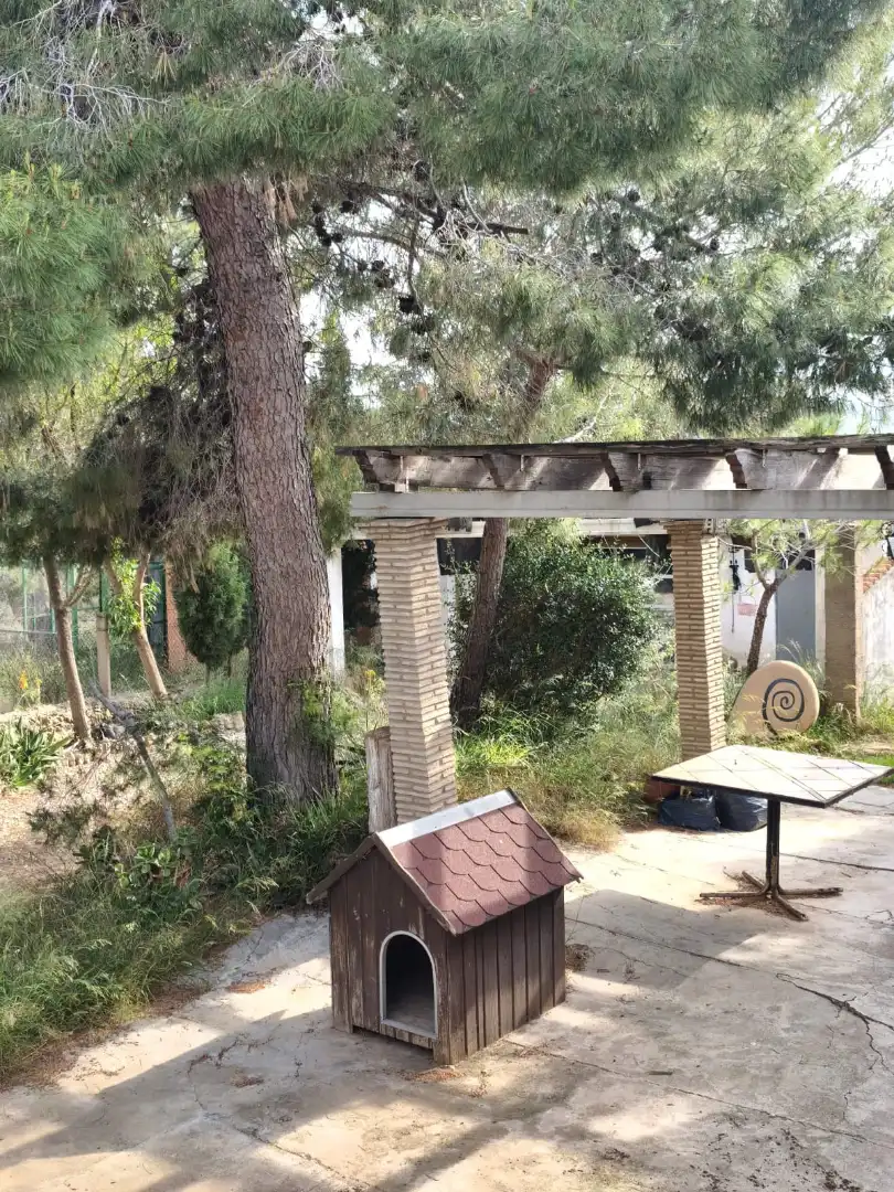 Vista exterior de Casa o chalet en venta en Montserrat con Aire acondicionado, Calefacción y Jardín privado