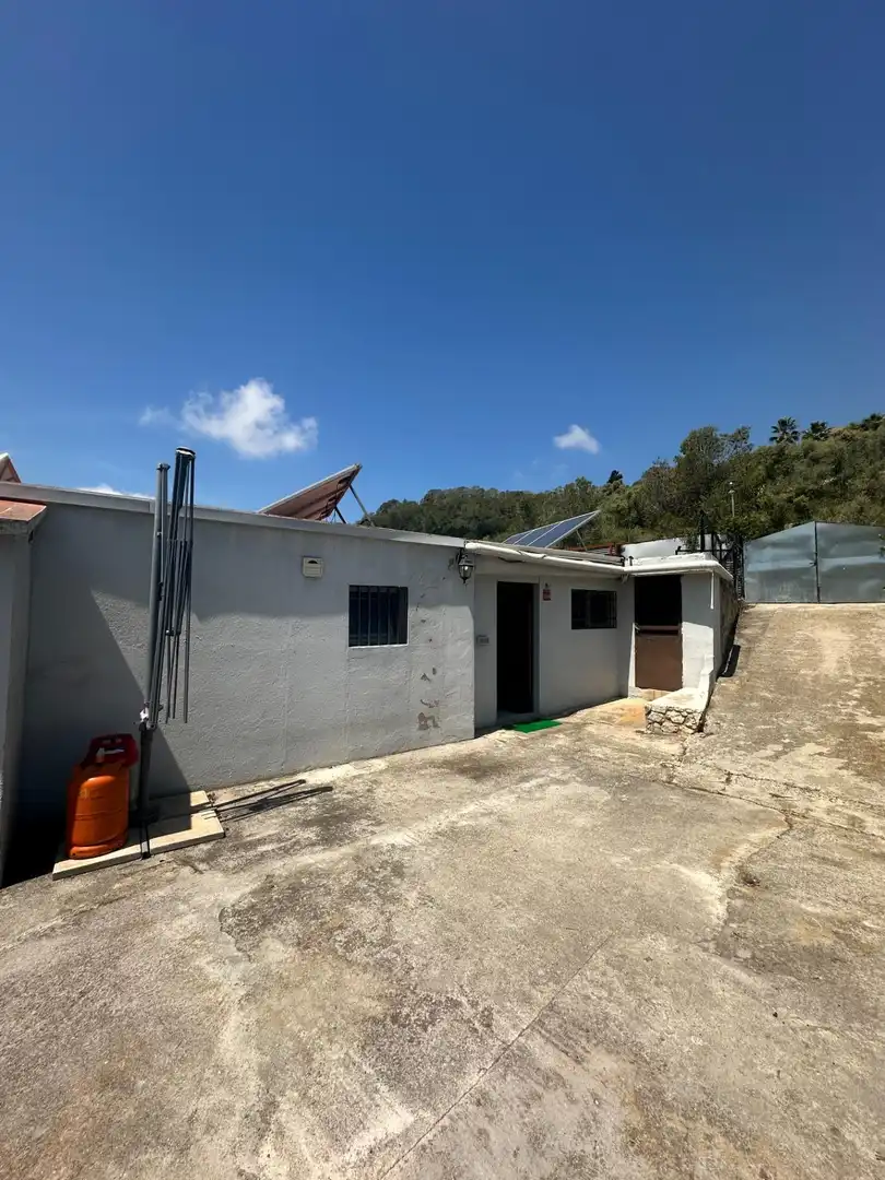 Exterior view of Houses for sale in Sant Pere de Ribes  with Heating and Private garden