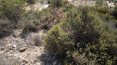 Photo 5 of Land for sale in Perín, Murcia