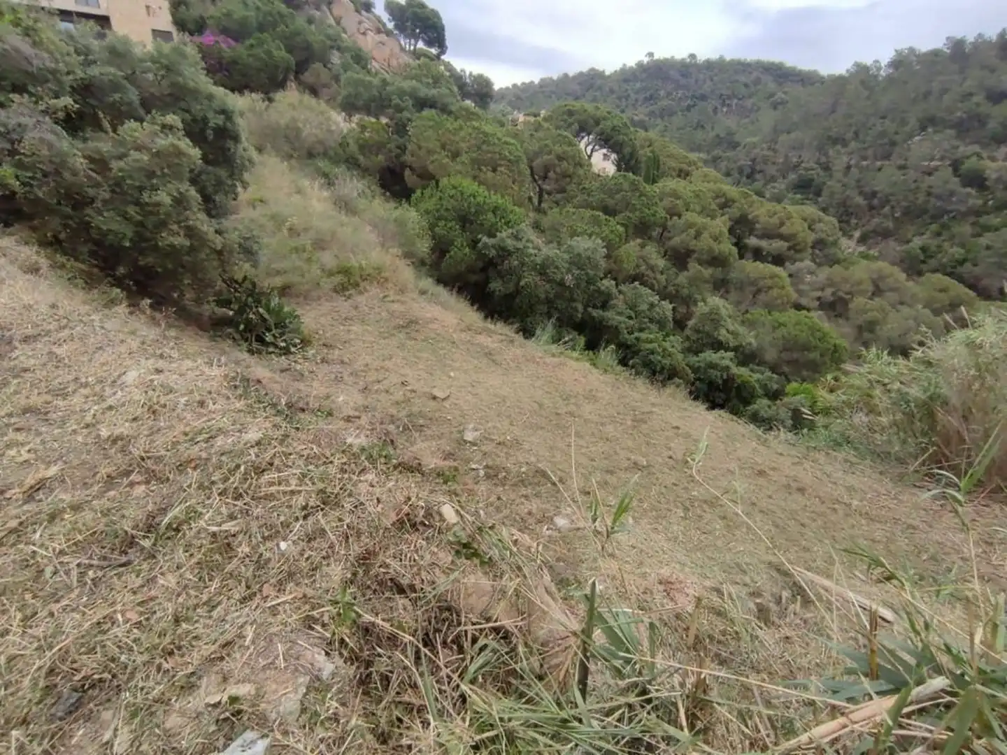 Terrenos y solares en venta en Serra Brava, imagen 21